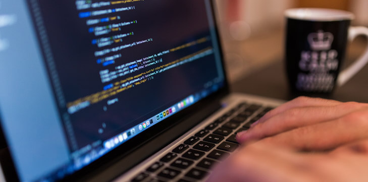 Wordpress web developer